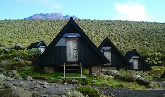 kilimanjaro-04