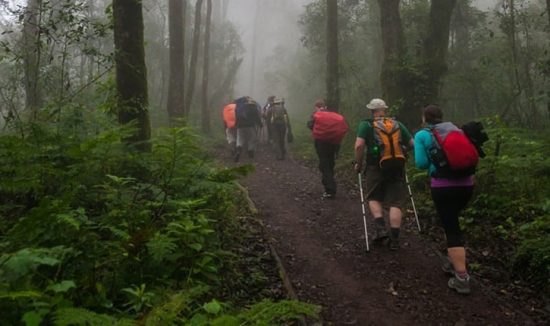 kilimanjaro-12