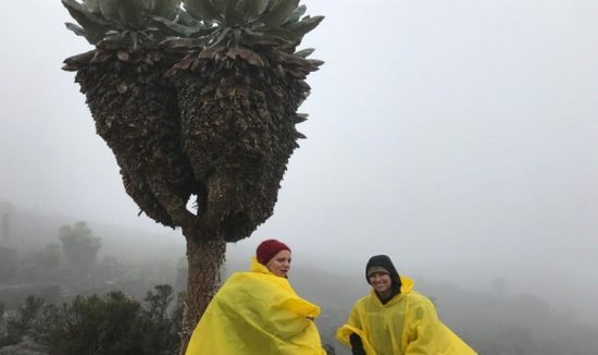 kilimanjaro-21