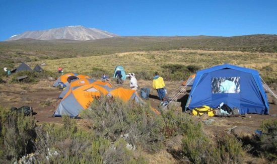 kilimanjaro-24