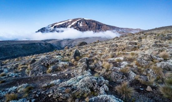 kilimanjaro-28